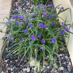 Meet your Posher, Jen